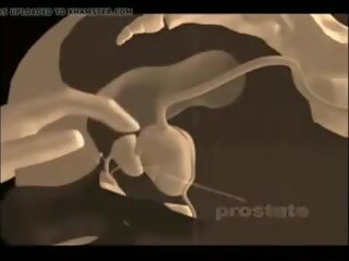 Jak do dać za prostata masaż, darmowe xxx masaż dorosły film vid